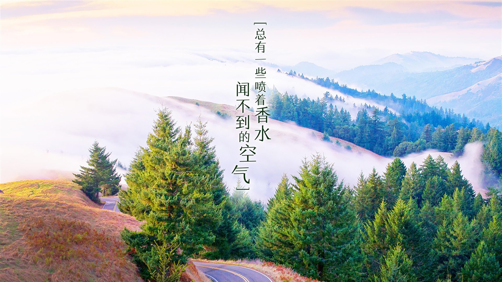篮球裁判培训引入虚拟现实技术，2020篮球裁判培训
