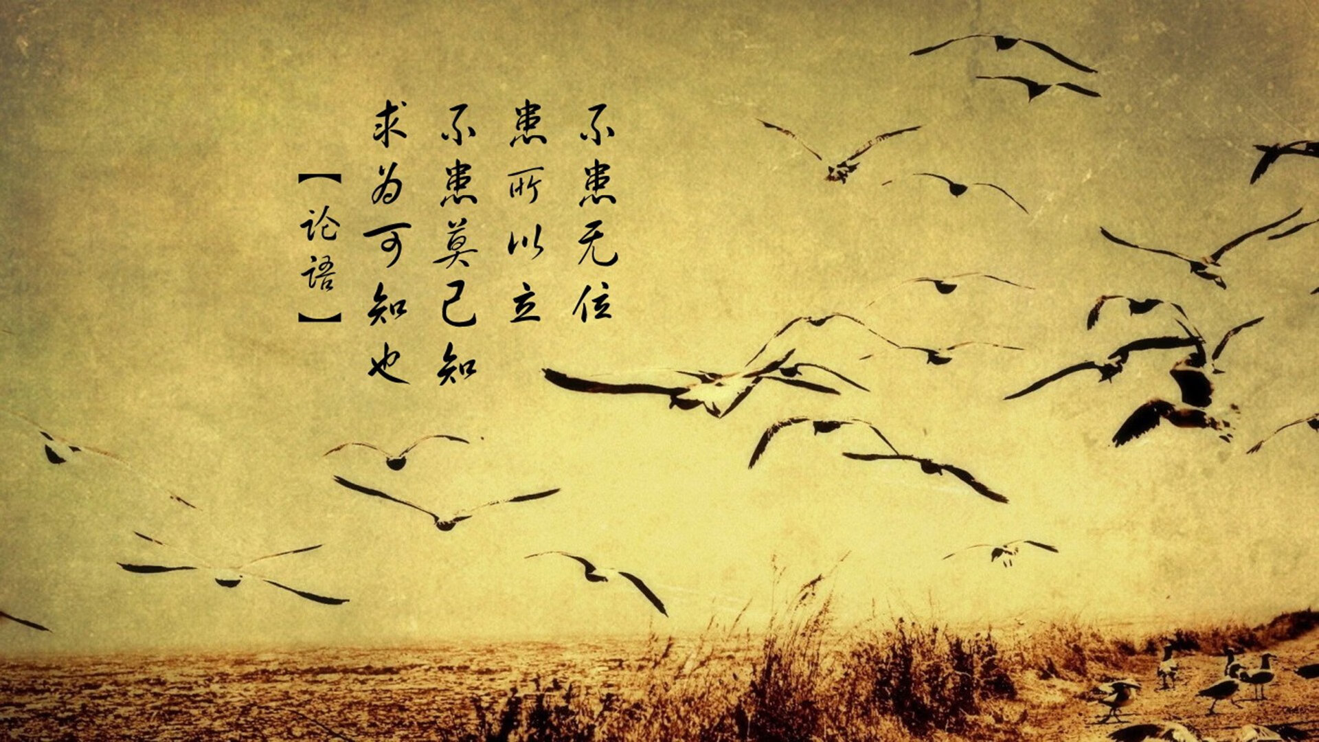 青少年“创意篮球场”场景设计竞赛激发年轻创意，特色篮球场设计