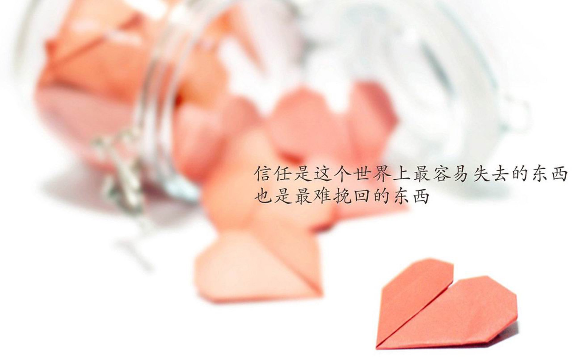 九游登录中心-东亚洲际足球联赛场上明星闪耀，战力擂台，东亚足球锦标赛