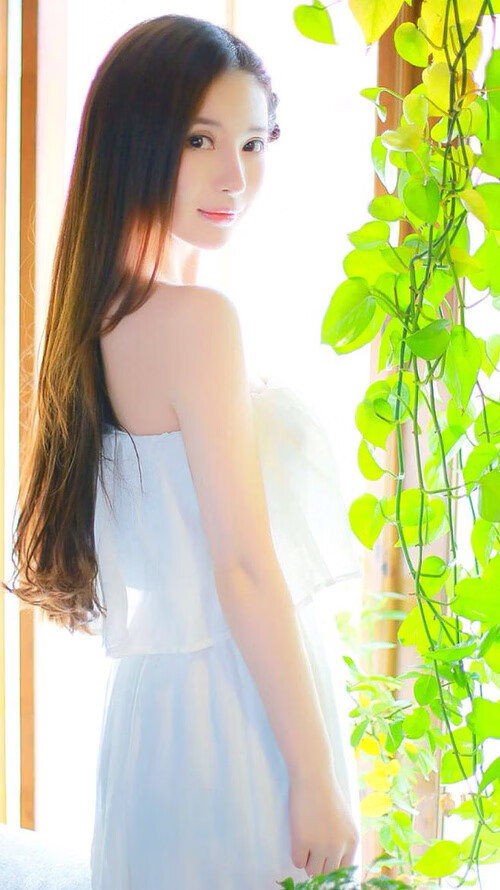 北美战队国际赛经验显著提升，北美战队lol